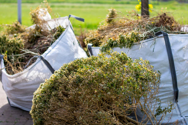 Best Hoarding Cleanup  in Kemp Mill, MD